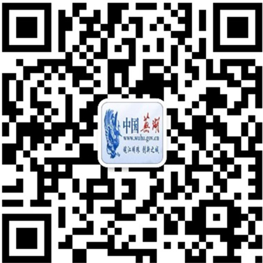 弋江区人民政府微信二维码